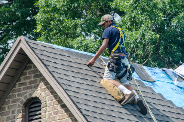 Best Residential Roofing Contractor  in Vicksburg, MI